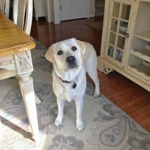 Meet your Posher, Johnna